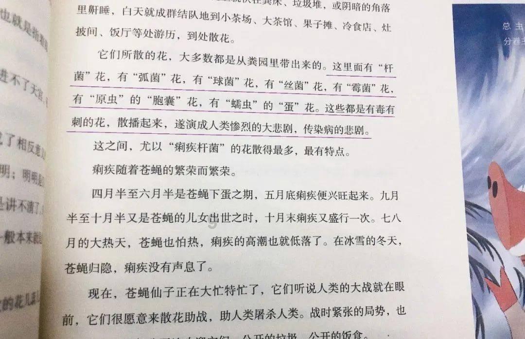 艾米高中校服