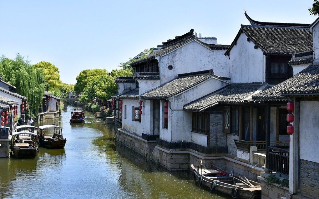 原始生殖细胞是由体细胞分化而来的，还是体细胞是由原始生殖细胞分裂来的？游戏画面