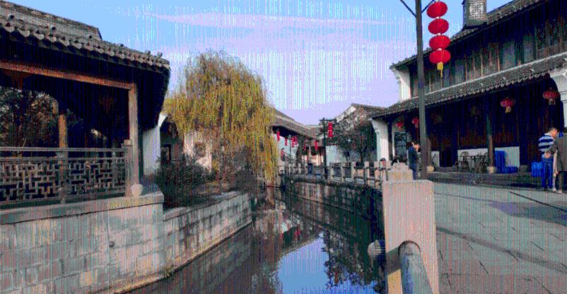 救援蝙蝠