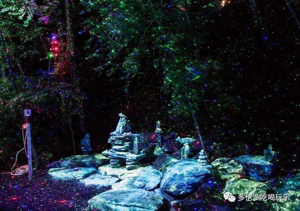 救援鹦鹉